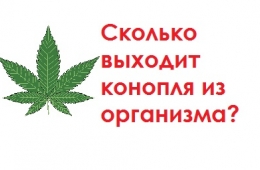 сколько времени (дней) в организме держится (в крови, моче) ТГК марихуана (анаша, трава, конопля, канабис, травка) Через сколько выветривается марихуана (трава, анаша, конопля) из крови?